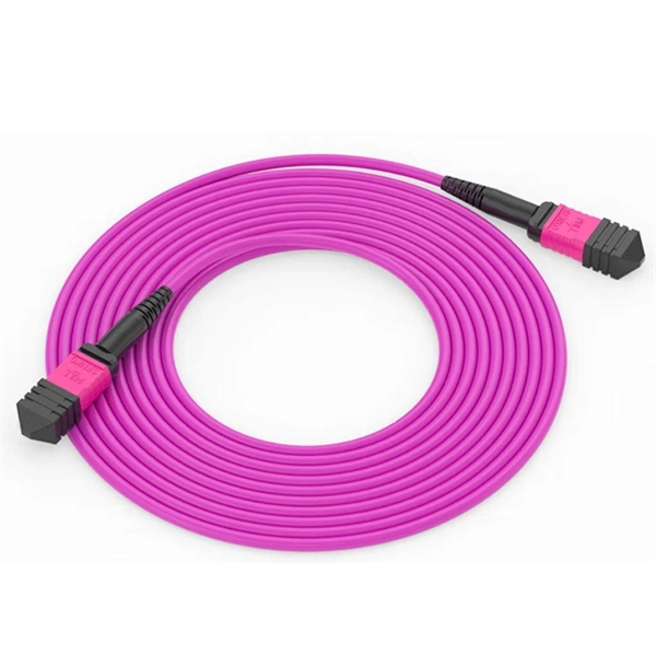 Correctly Secure the 48-Core Fiber Optic Cable Junction Box