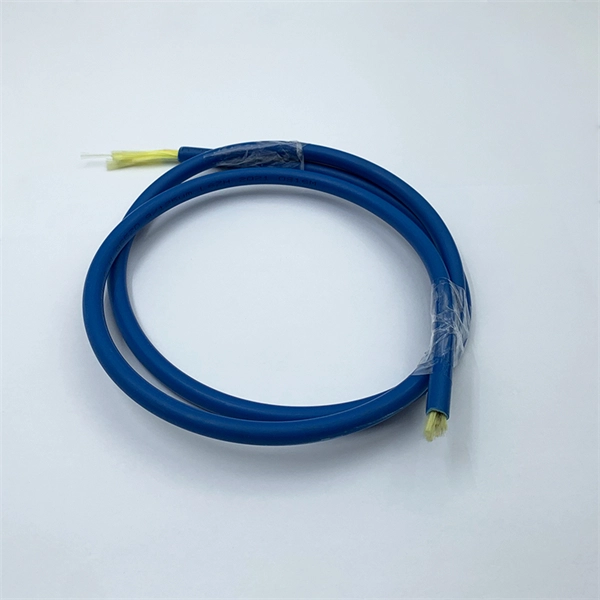 Denmark SD-WAN device 1G