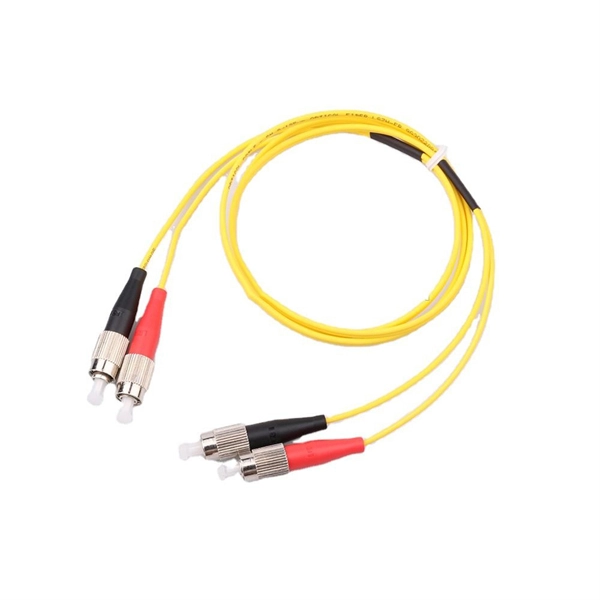 Fiber optic input dual-channel output